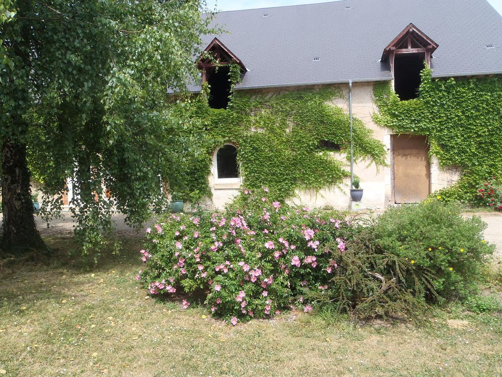 Chambres D'Hotes Du Domaine De Jacquelin Saint-Germain-du-Puy Eksteriør billede